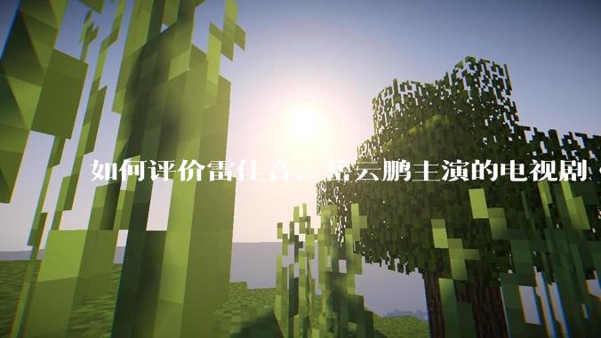 如何评价雷佳音、岳云鹏主演的电视剧《长安的荔枝》?