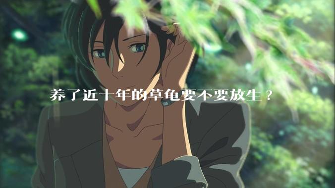 养了近十年的草龟要不要放生?