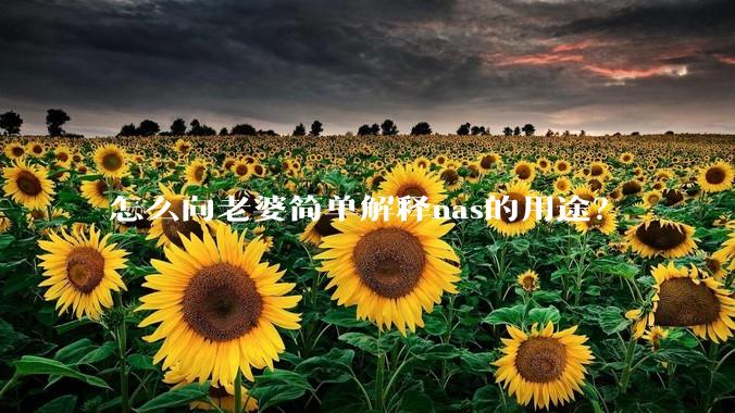 怎么向老婆简单解释nas的用途？